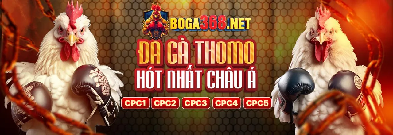Các Cấp Bậc VIP sodo66